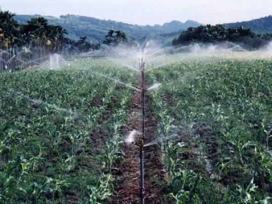 自限溫電伴熱帶在農(nóng)副產(chǎn)品中的應用